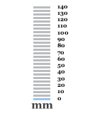 1.0 mm