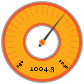 1004.3 hPa