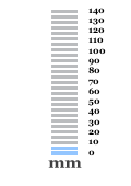 7.3 mm